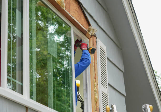 the best window replacement Bushnell FL